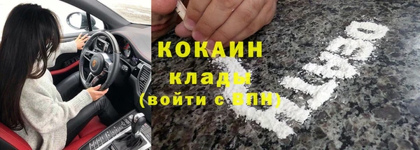 каннабис Каменногорск