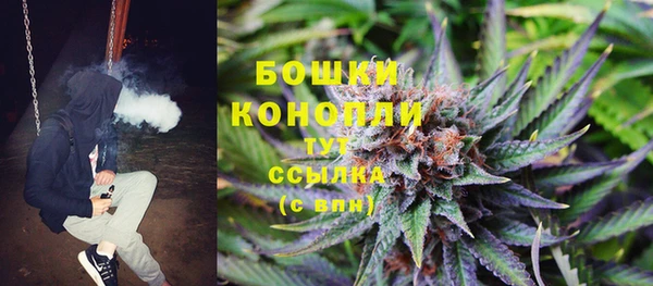 каннабис Каменногорск