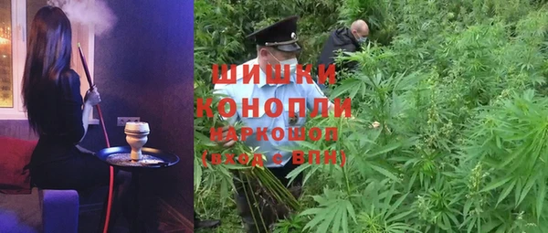 ALPHA-PVP Каменка